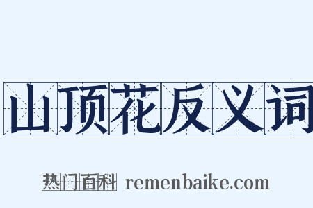 山顶花反义词是什么意思的图片